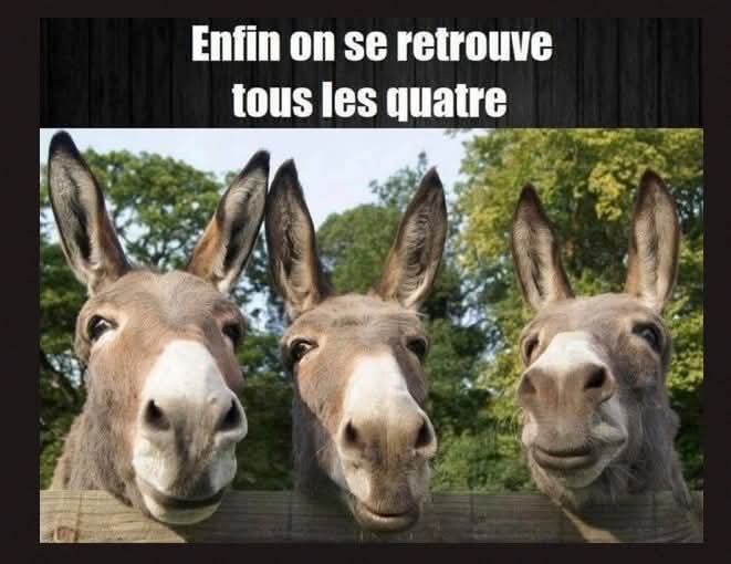 FB_IMG_1746894007862.jpg