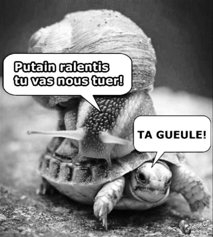 FB_IMG_1747146864562.jpg