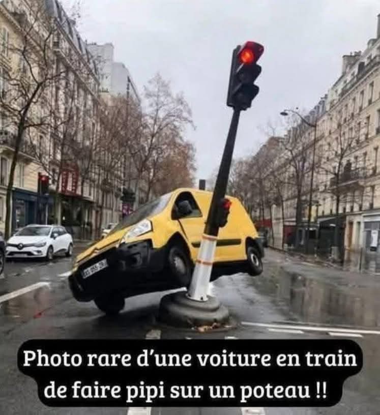 FB_IMG_1747308064751.jpg