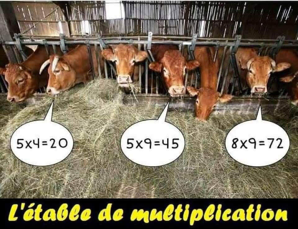 FB_IMG_1747373444898.jpg