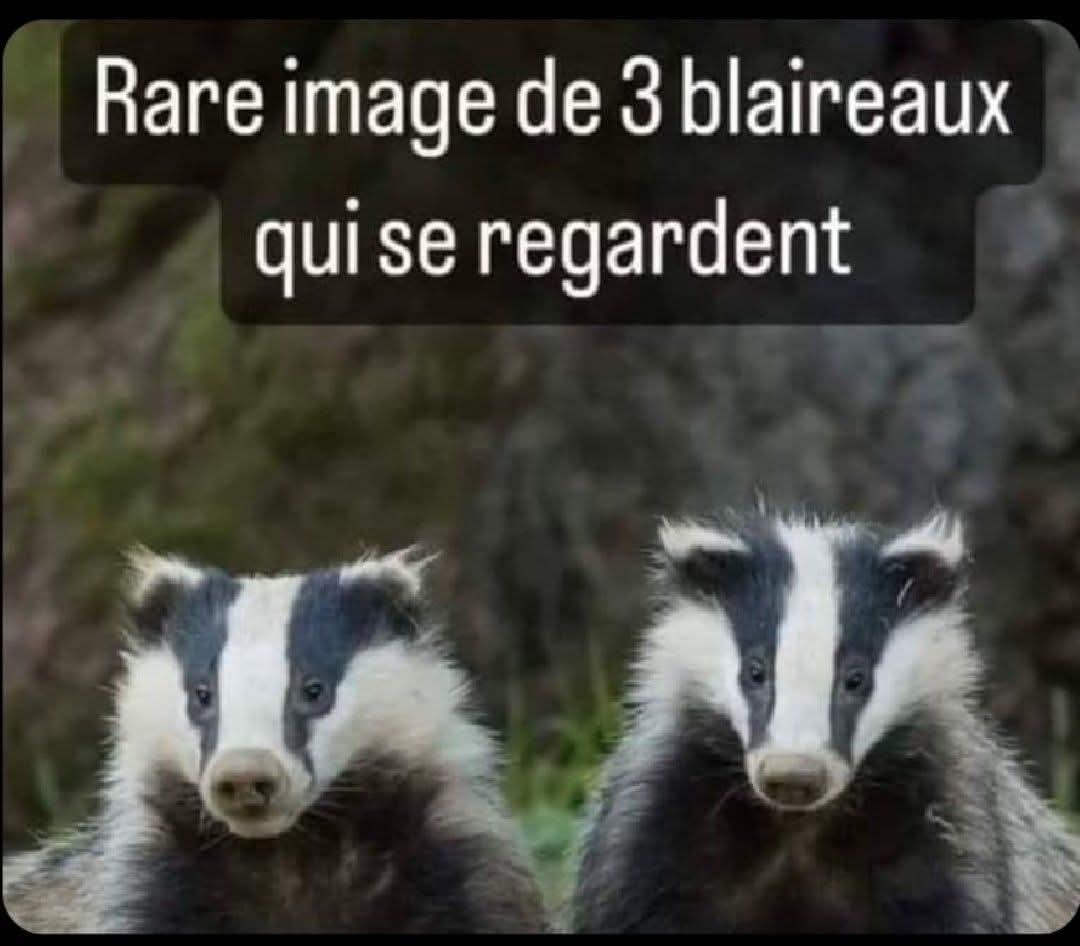 FB_IMG_1747408394016.jpg
