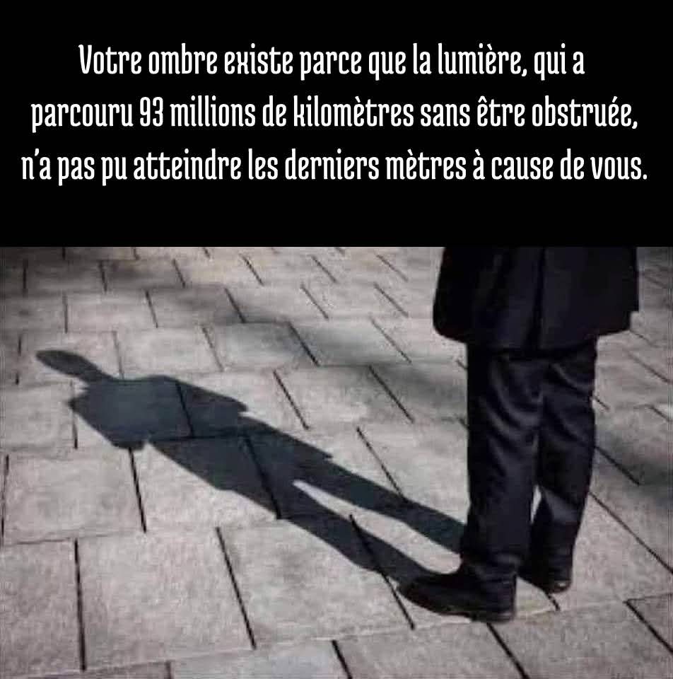 FB_IMG_1747591656643.jpg
