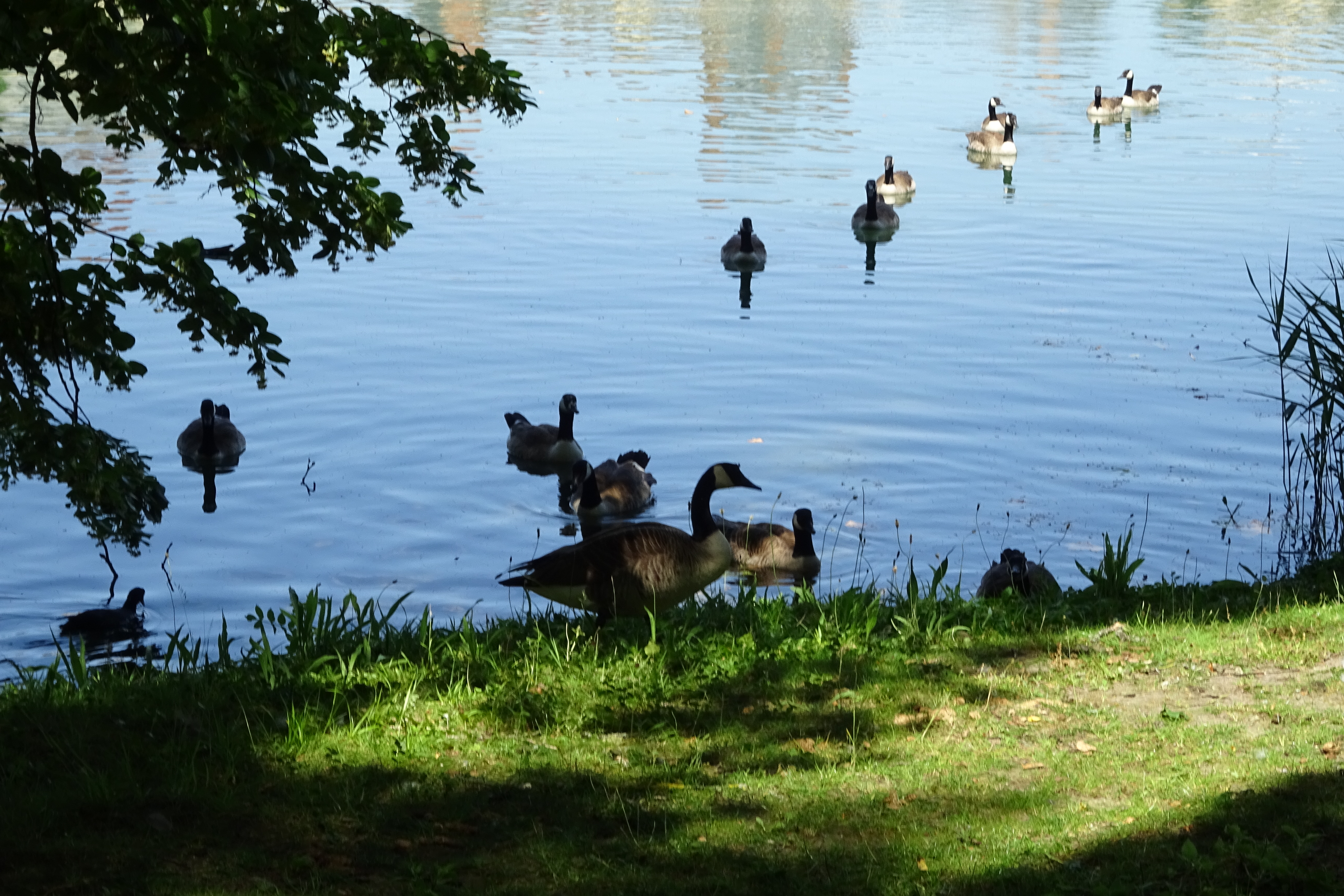 DSC03722.JPG