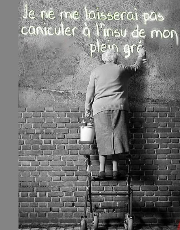 Capture d’écran 2025-06-24 175917.png