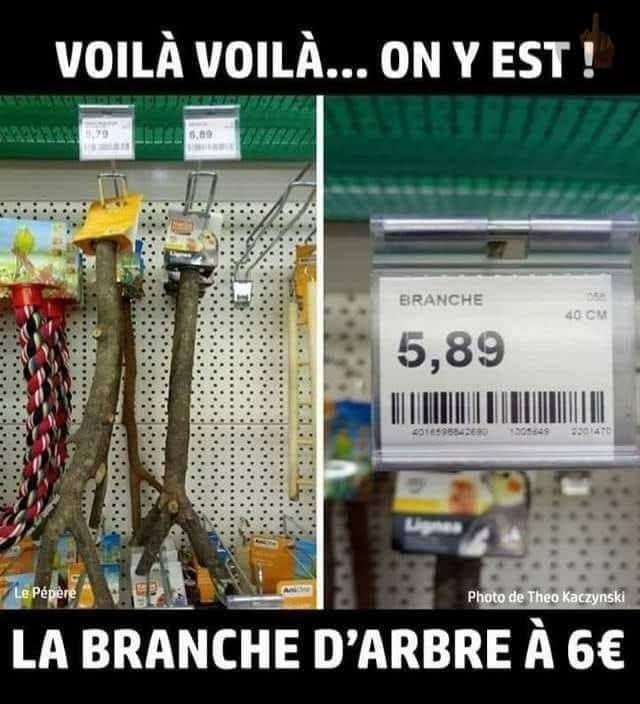 FB_IMG_1748960622930.jpg