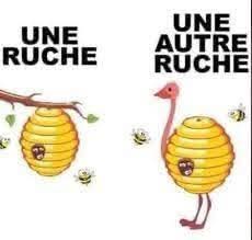 FB_IMG_1750761202035.jpg
