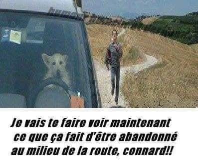 FB_IMG_1751125807737.jpg