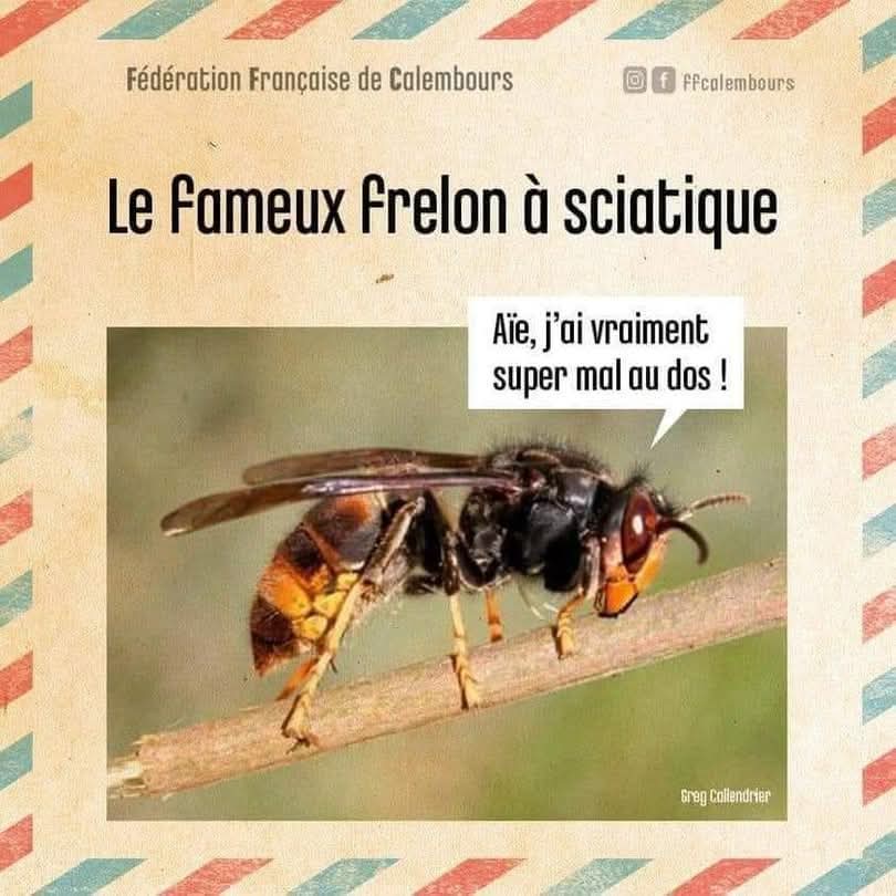 FB_IMG_1751138733837.jpg