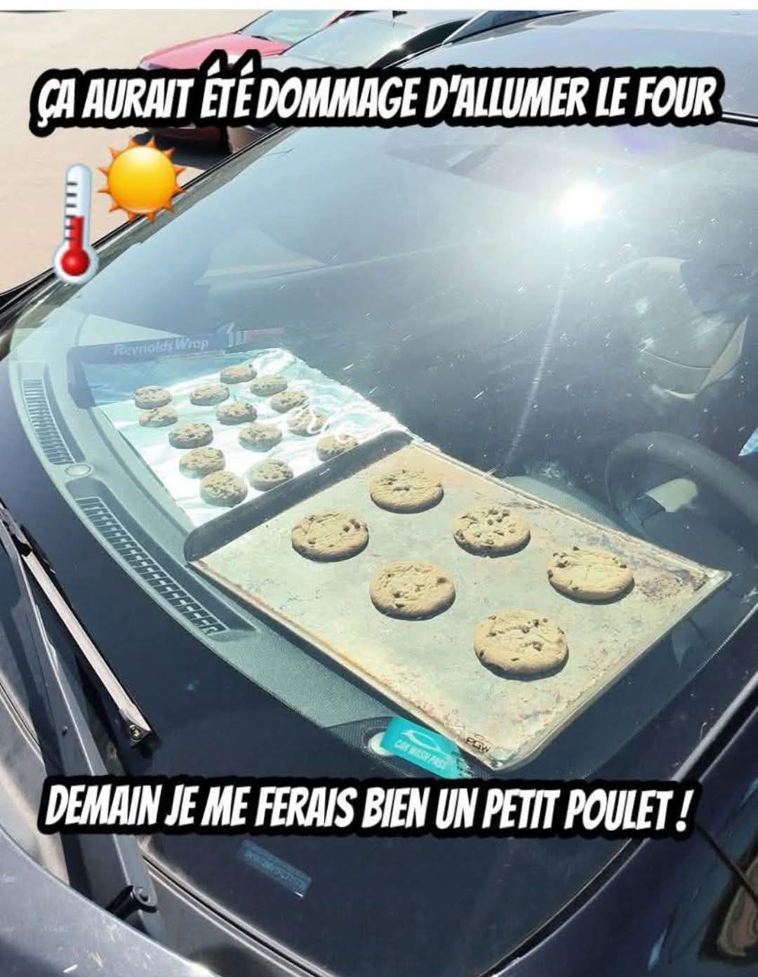 FB_IMG_1751368054742.jpg