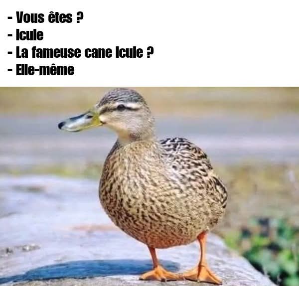 FB_IMG_1751478036870.jpg
