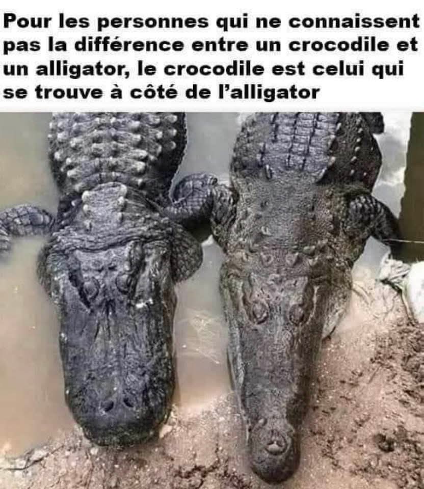 FB_IMG_1751540577269.jpg