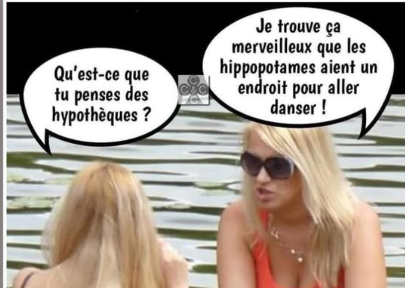 Capture d’écran 2025-08-21 183718.png