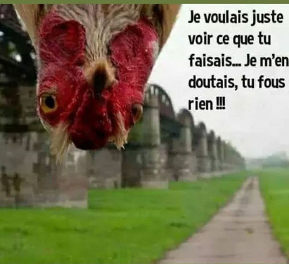 FB_IMG_1753268989242.jpg