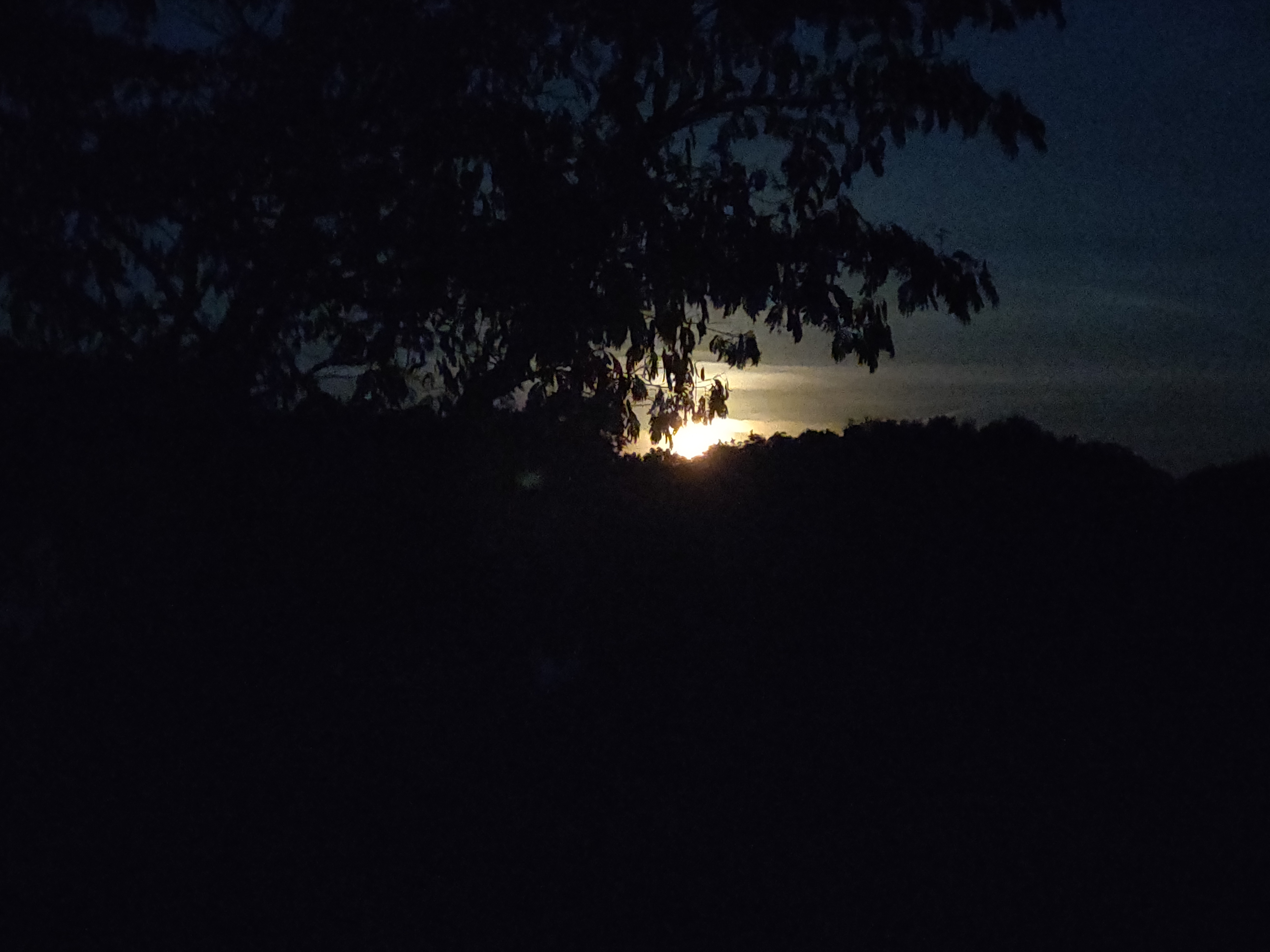 IMG_20250907_061750.jpg