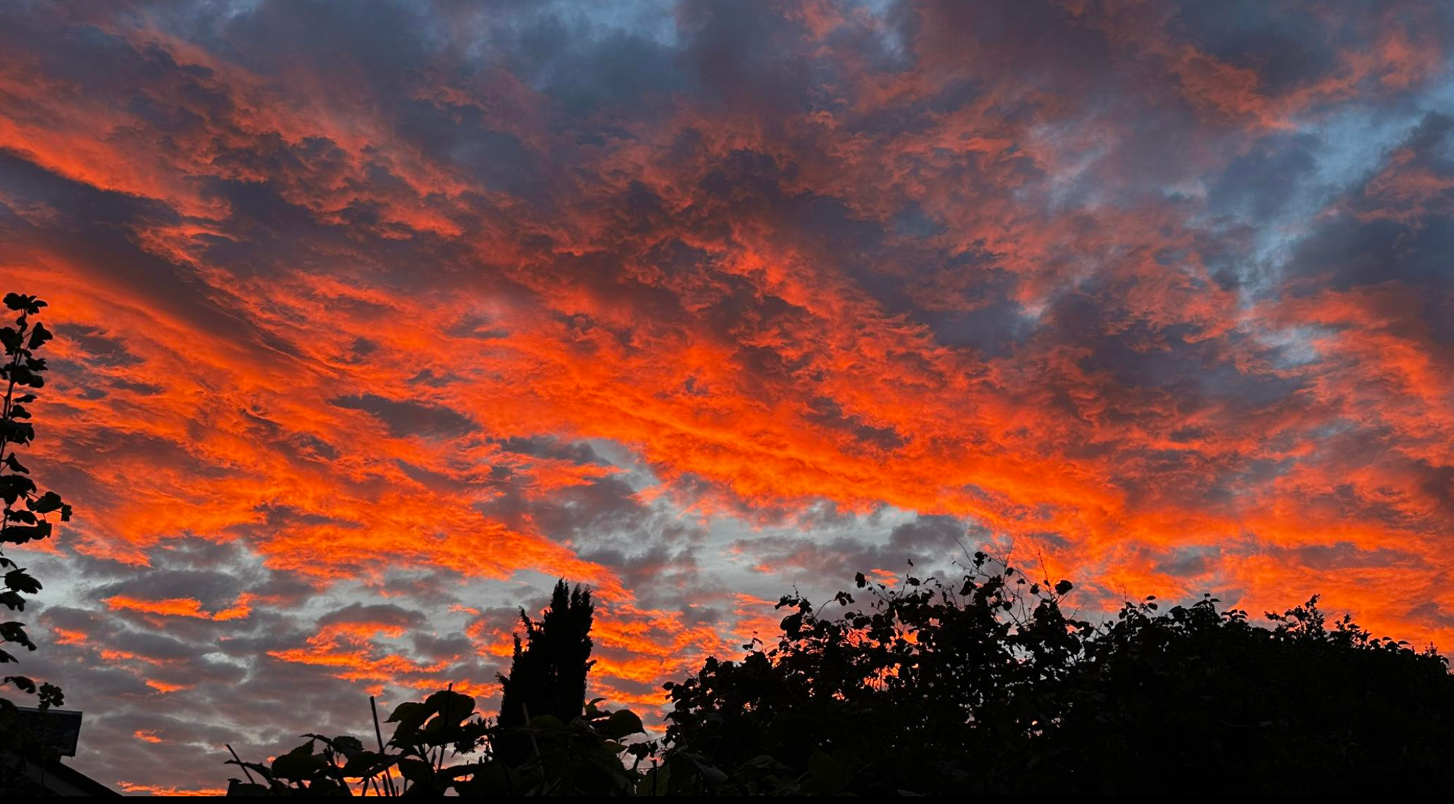 Capture d’écran 2025-09-09 185029.png