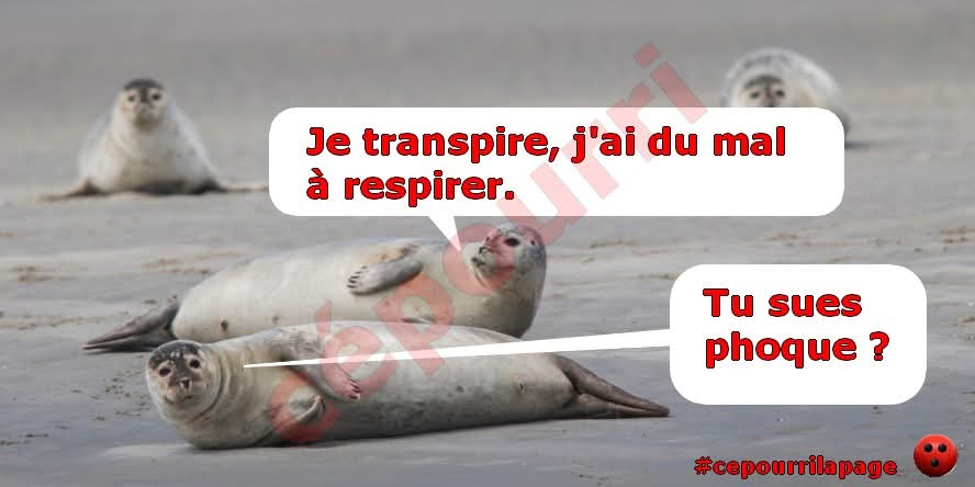 FB_IMG_1753785294632.jpg