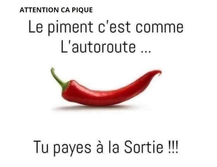 FB_IMG_1754562471143.jpg