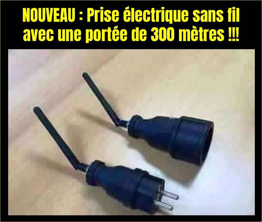 FB_IMG_1756545848236.jpg