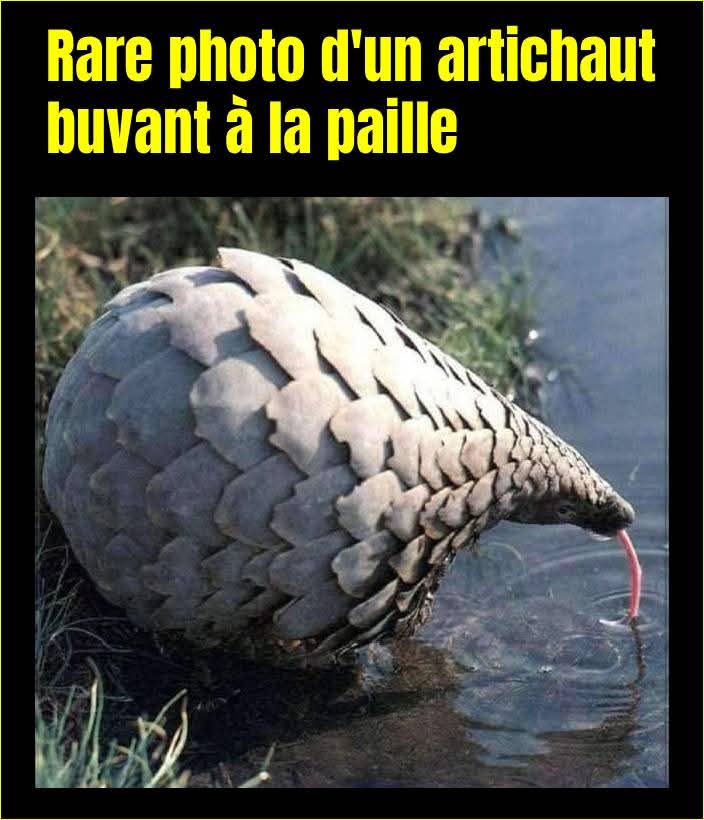 FB_IMG_1758189797869.jpg