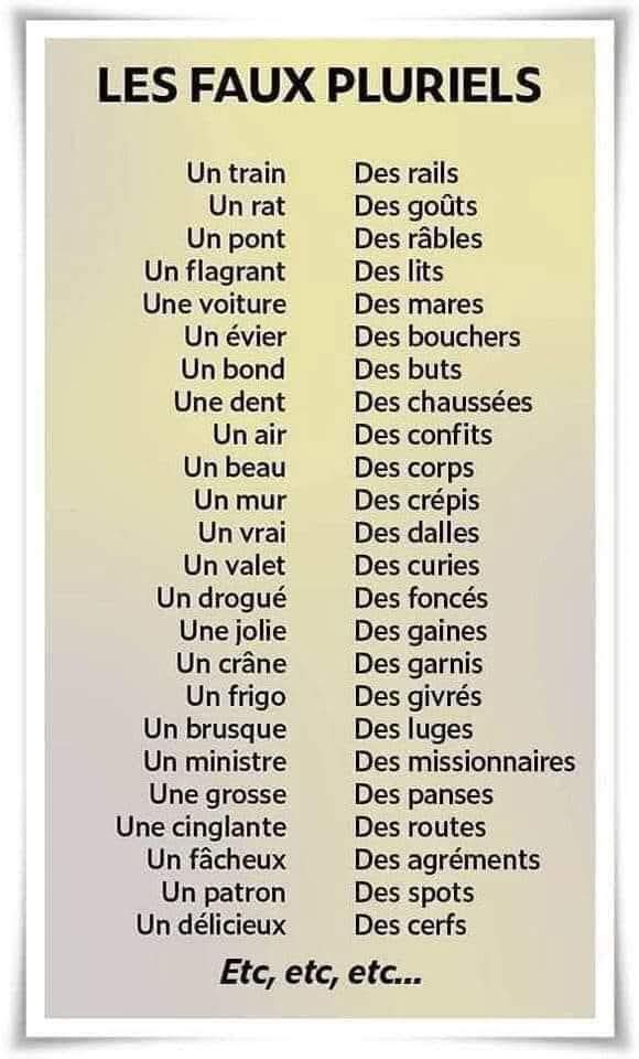 FB_IMG_1757863083237.jpg