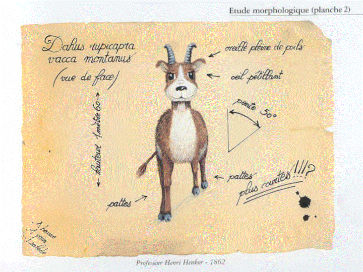 dahu3.gif