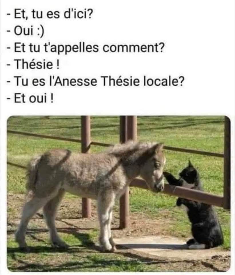 FB_IMG_1748021460405.jpg