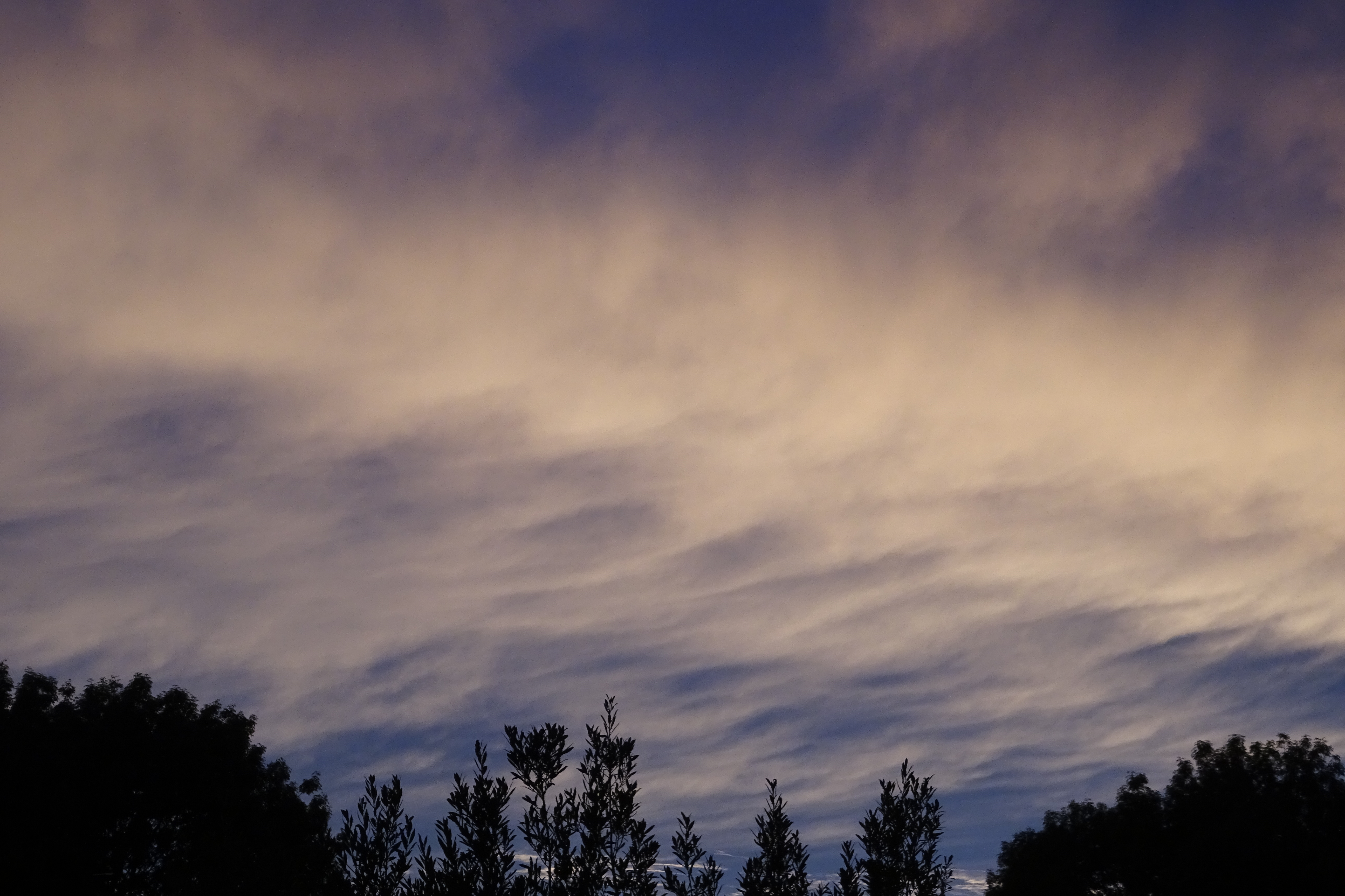 DSC04564.JPG