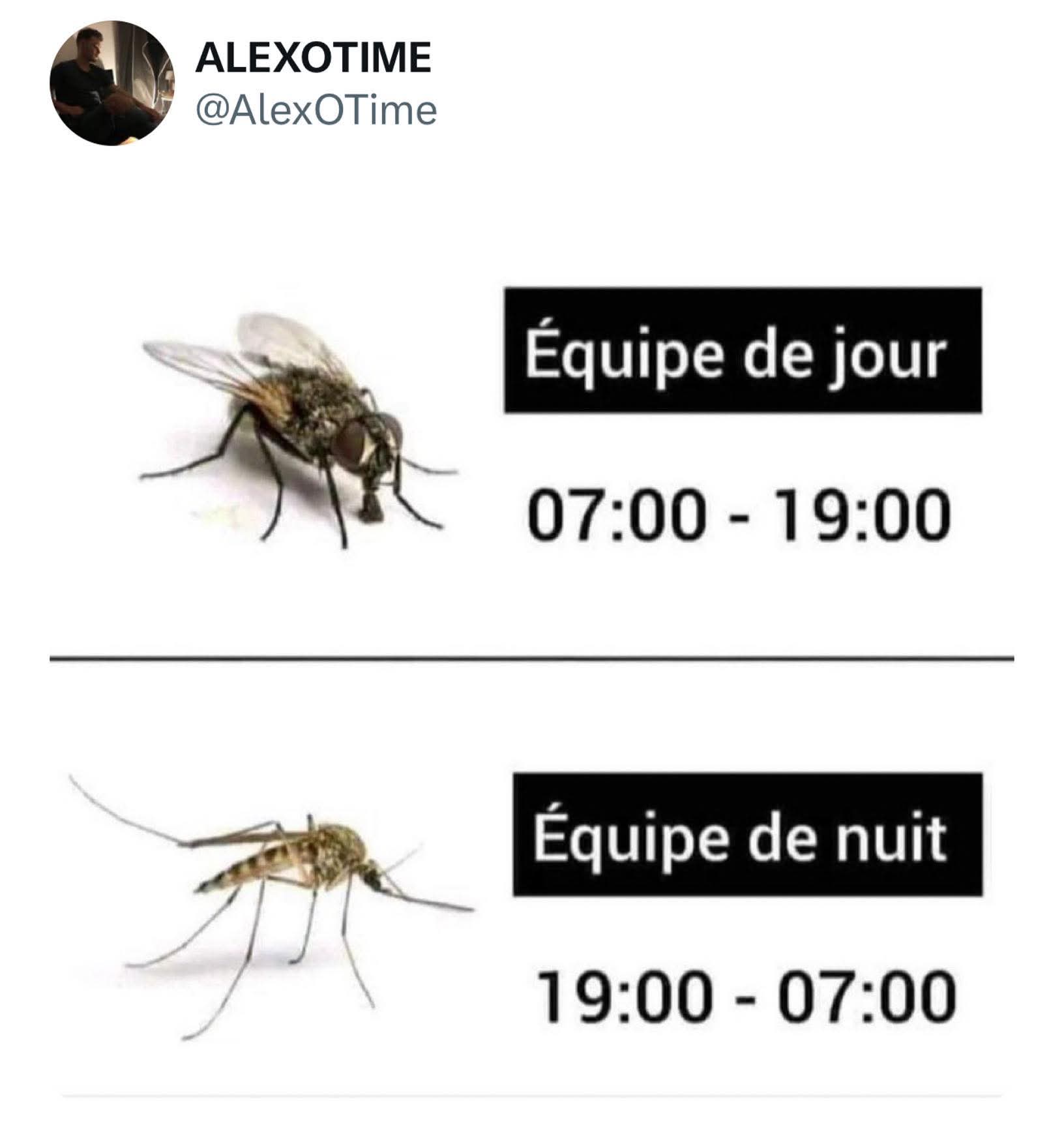 FB_IMG_1755338504909.jpg