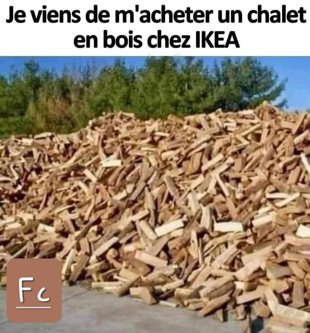 FB_IMG_1756145827908.jpg