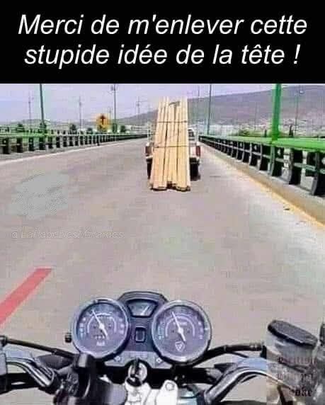 FB_IMG_1756298535307.jpg