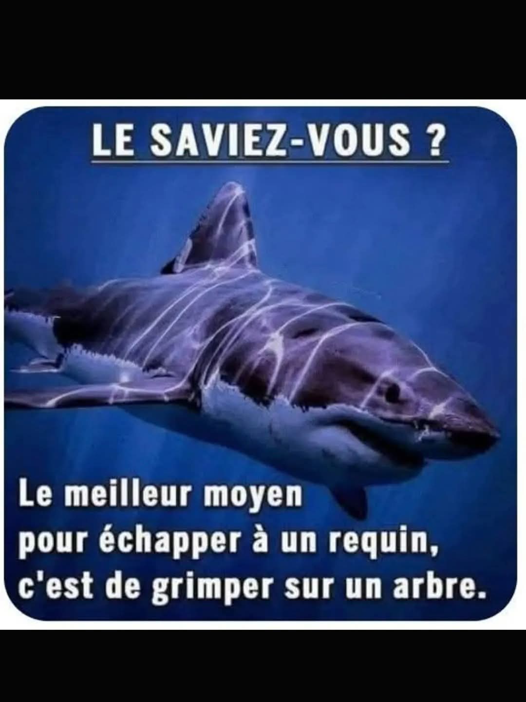 FB_IMG_1756490926268.jpg